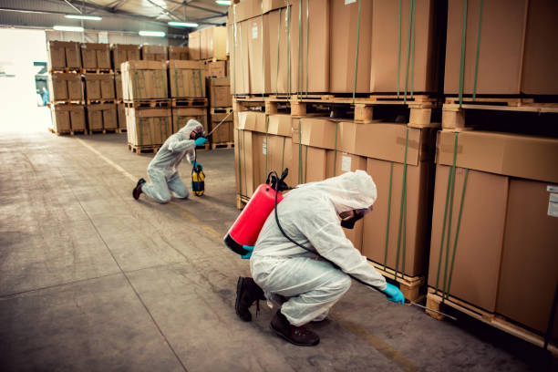Best Ant Control Services  in East Canton, OH